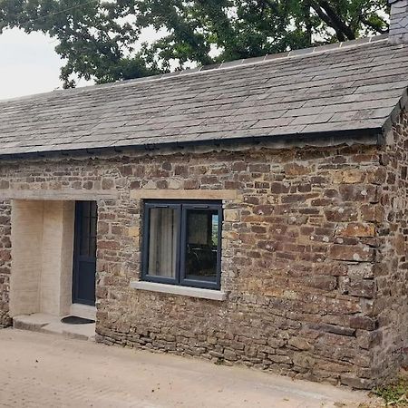 Thornmoor Barn Apartment Lifton Exterior foto